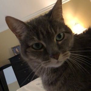 Meet your Posher, Janet